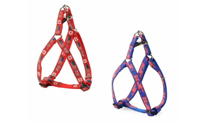 Picture of Camon Adjustable Harness Double Flag 15 Mm Blue