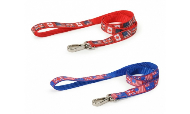 Picture of Camon Dog Leash Blue Flags 25X1200 Mm