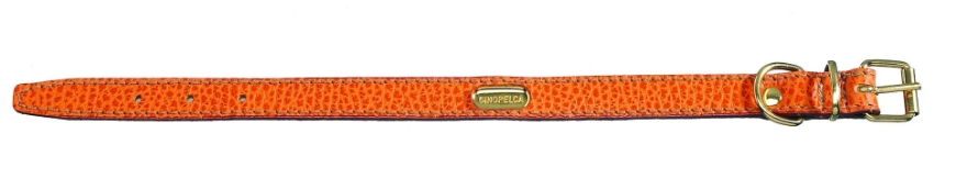 Picture of Camon Flat Collar In Calf Skin 15X380 Mm Orange