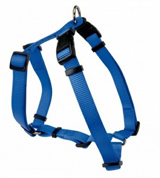Picture of Camon Harness N 2 Drmm15