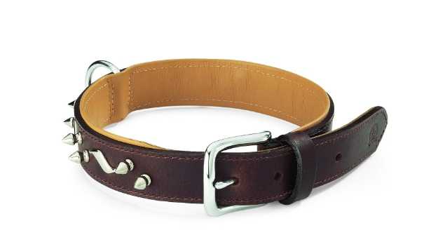 Picture of Camon Colorado Collar With Studs