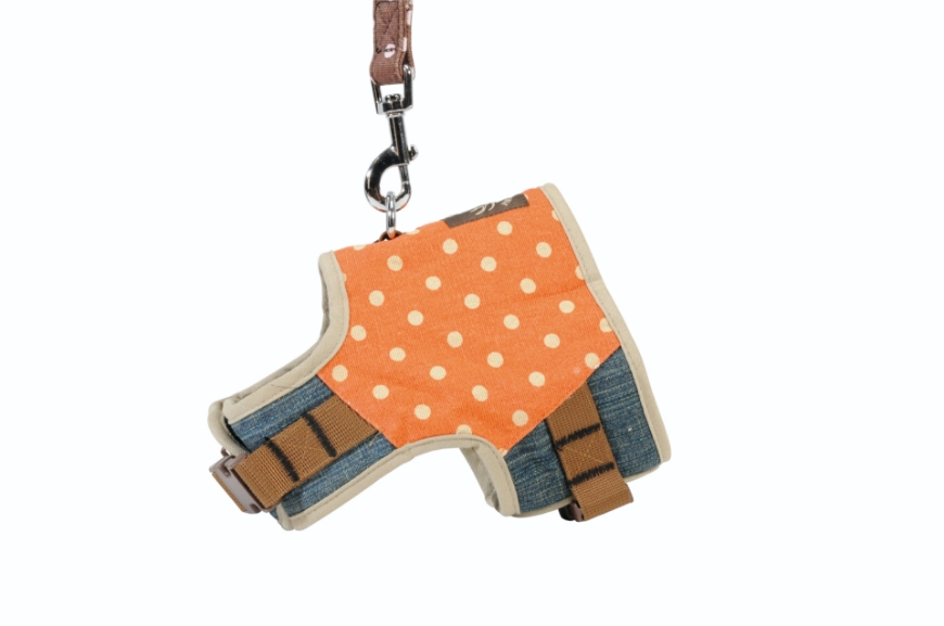 صورة Camon Harness + Leash Denim Pois Orange