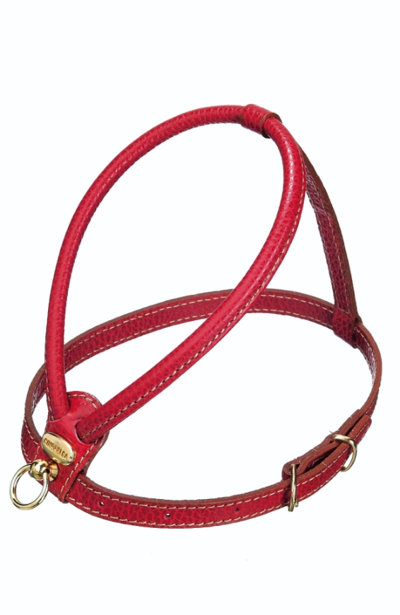 صورة Camon Harness In Calf Skin Red