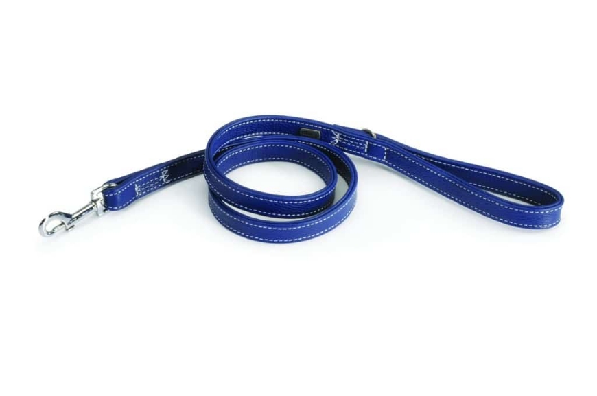 صورة Camon Matching Calf Leather Dog Leash Blue