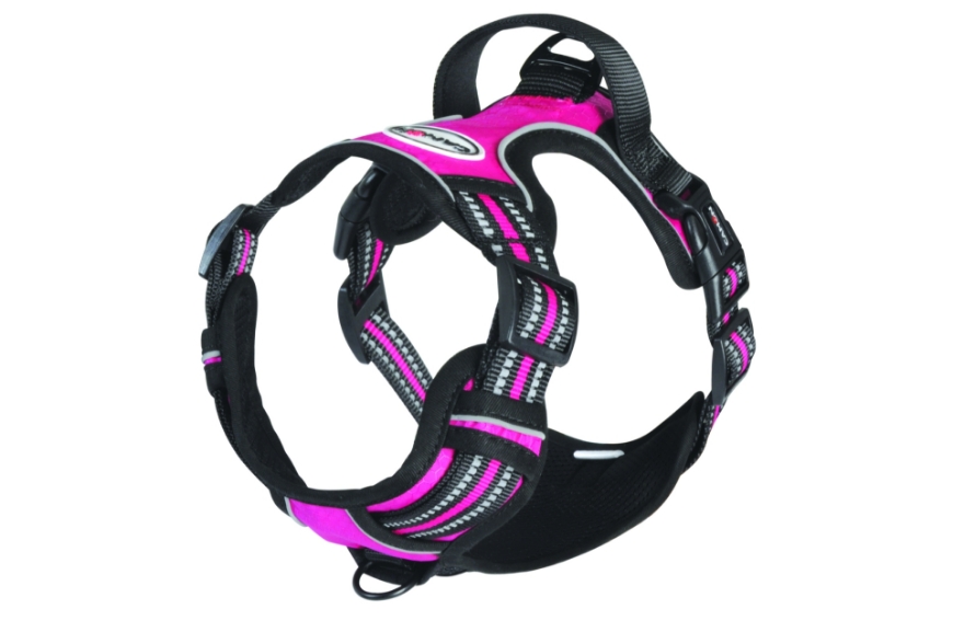 صورة Camon Reflective Padded Harness Fuchsia