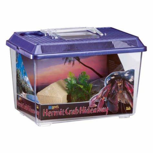 Picture of Hermit Crab Hideaway Kit