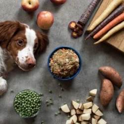 Picture for category Health &amp; Wellness