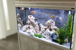 Picture for category Supplies