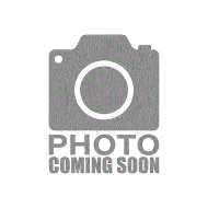 صورة Camon-Slicker-Brush-With-St-Steel-Plastic-Pins-105X65Mm-M