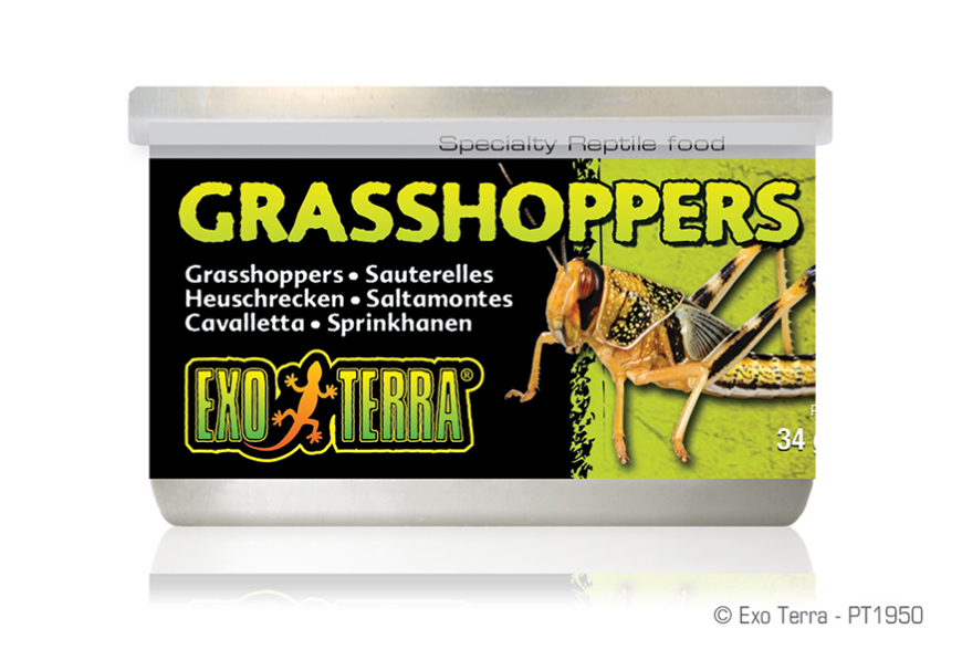 صورة Exo Terra Grass Hoppers For Reptiles 34G