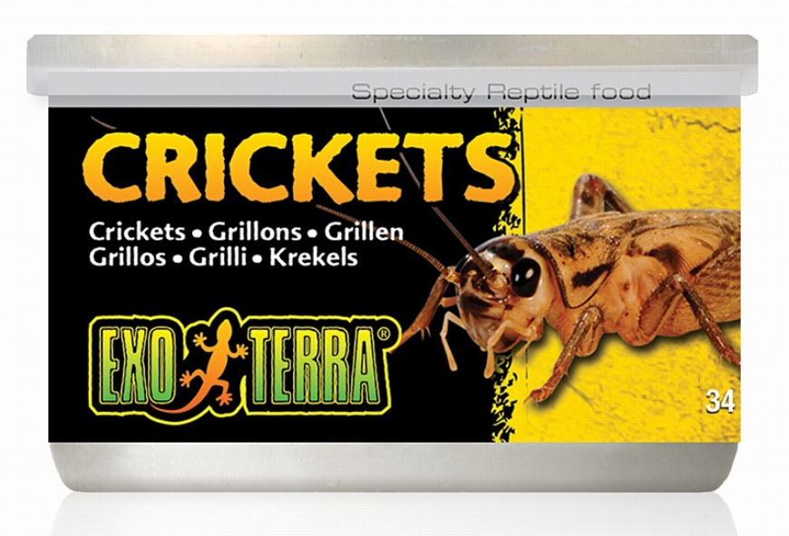 صورة Exo Terra Crickets For Reptiles 34G