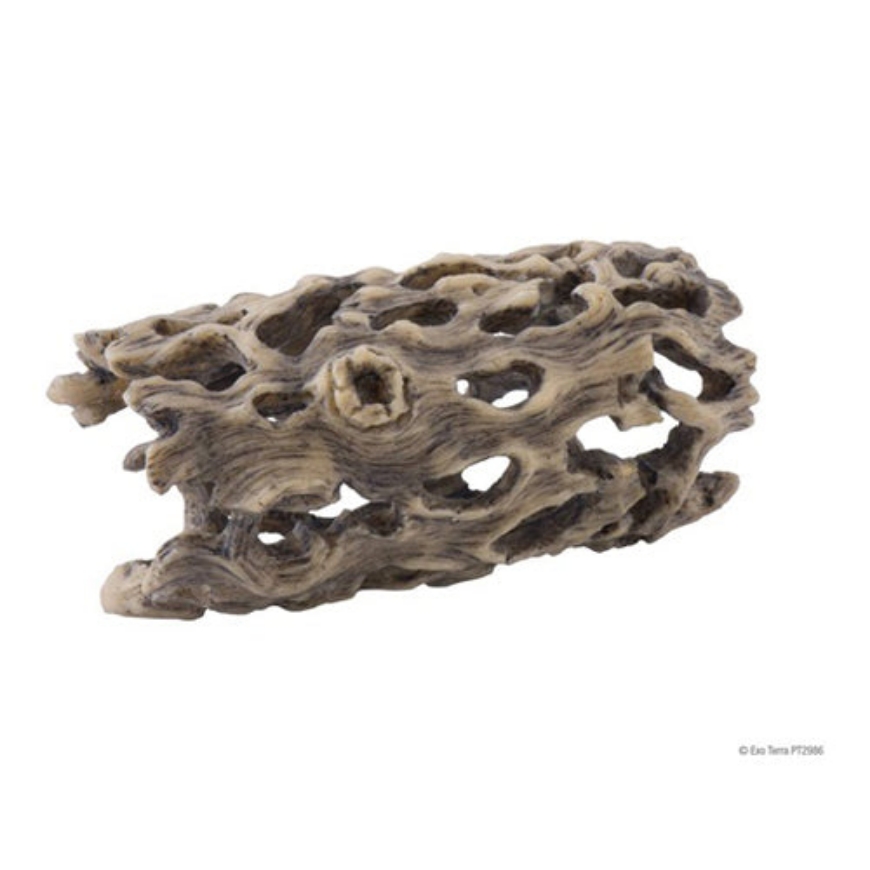 صورة Exoterra - Cholla Cactus Skeleton Sm