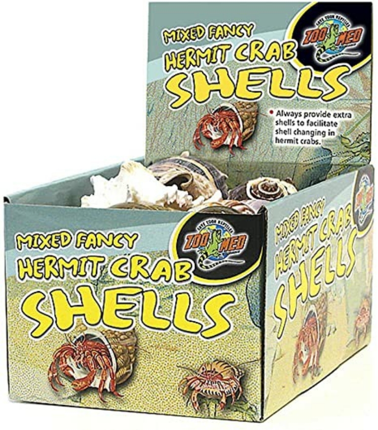 Picture of 24 Pc. Hermit Crab Fancy Shells