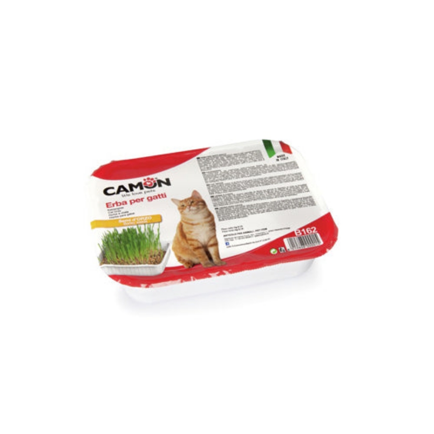صورة Camon Cat Grass - Barley