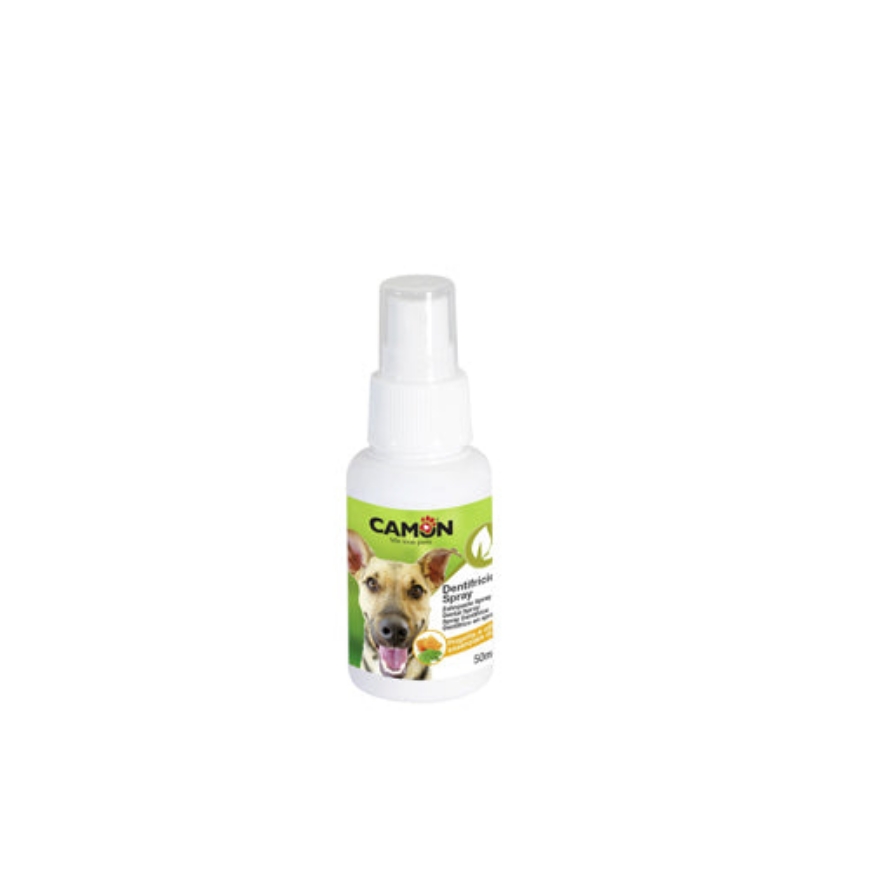 Picture of Camon Toothpaste Spray For Dogs 50Ml
