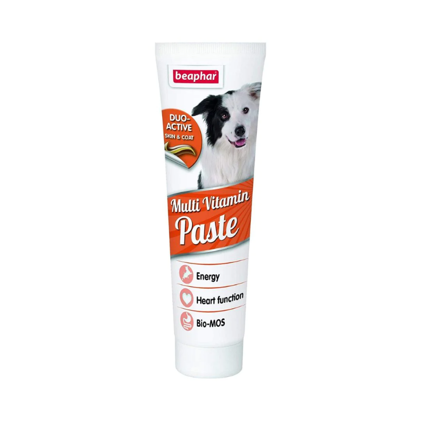 صورة Beaphar Duo Active Paste For Dogs 100G