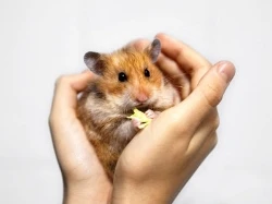 Picture for category Care &amp; Health