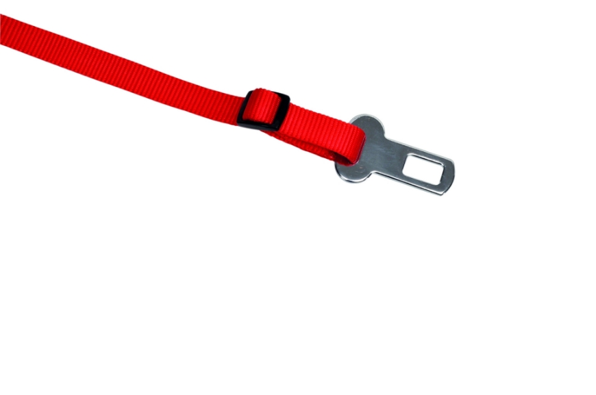 صورة Camon Safety Leash 15mm