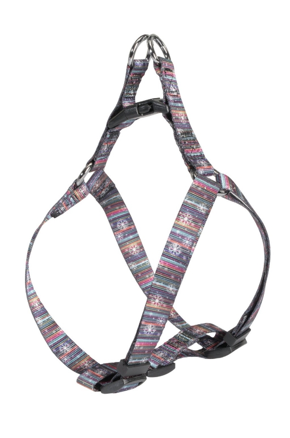صورة Camon-Multicolor-Collar-1-0X23-32Cm-M