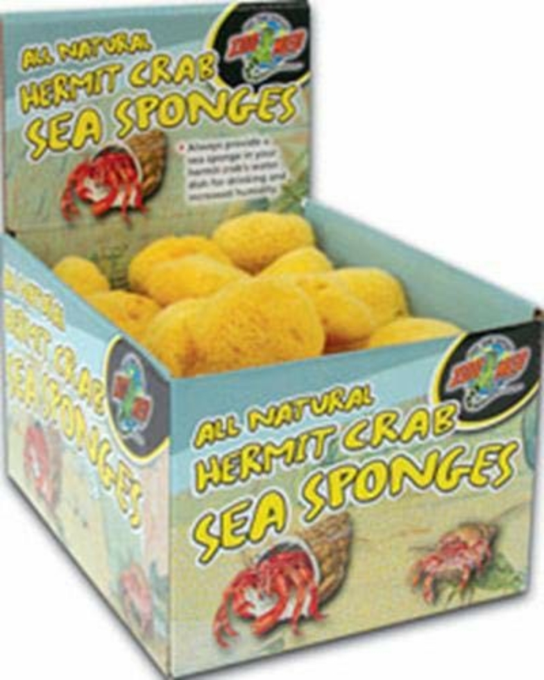 Picture of 36 Pc. Hermit Crab Sea Sponges D