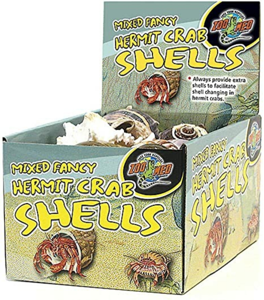 Picture of 24 Pc. Hermit Crab Fancy Shells