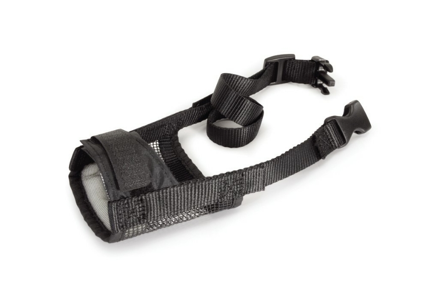 Camon Adjustable Nylon Muzzle xl 4 8019808215389 Camon PETLAND KSA