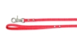 Picture of Camon Dog Leash With Bow Red 10X1200 Mm