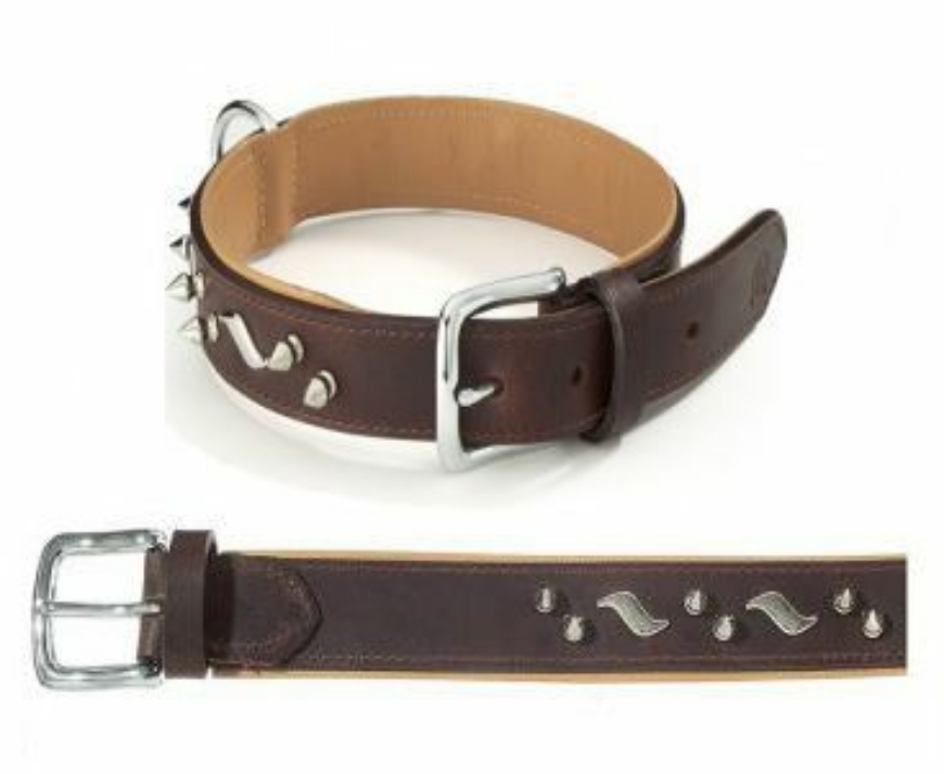 Picture of Camon Colorado Collar With Studs 30X640 Mm
