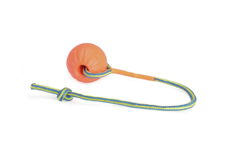 Picture of Camon-Dog-Toy-Eva-Ball-With-Rope-Orange-90Mm