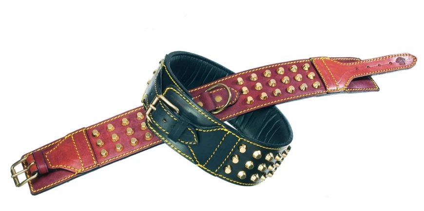 Picture of Camon Pitt Box Amstaff Collar With Studs 60 Cm