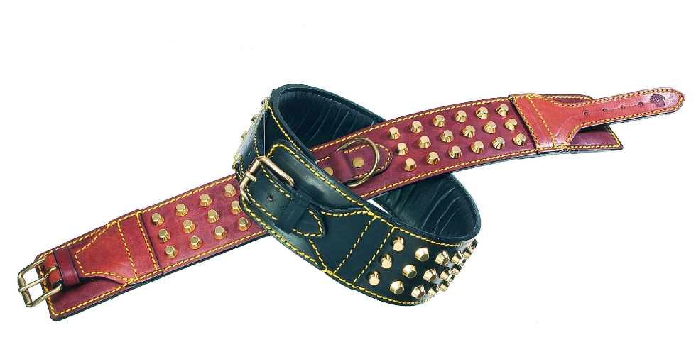 Picture of Camon Pitt Box Amstaff Collar With Studs 60 Cm