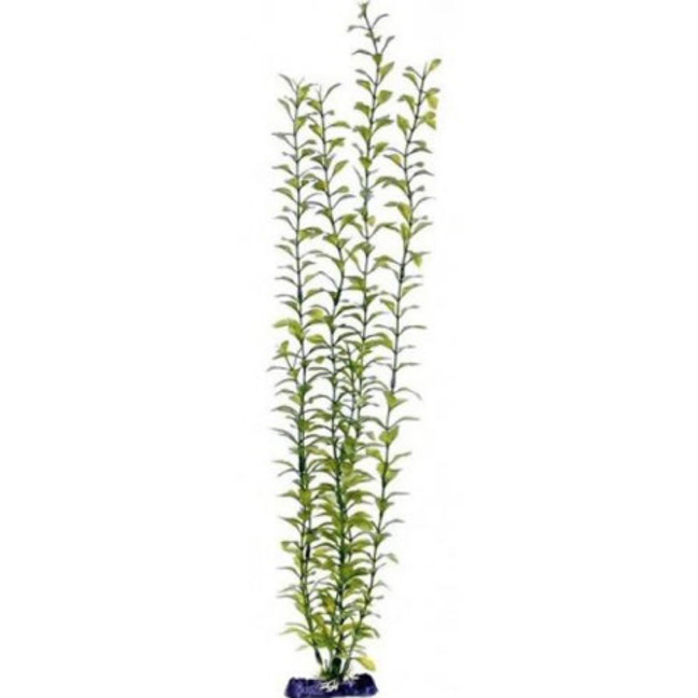 Picture of Penn Plax Plastic Plants L Green Club Moss / Heavy Base