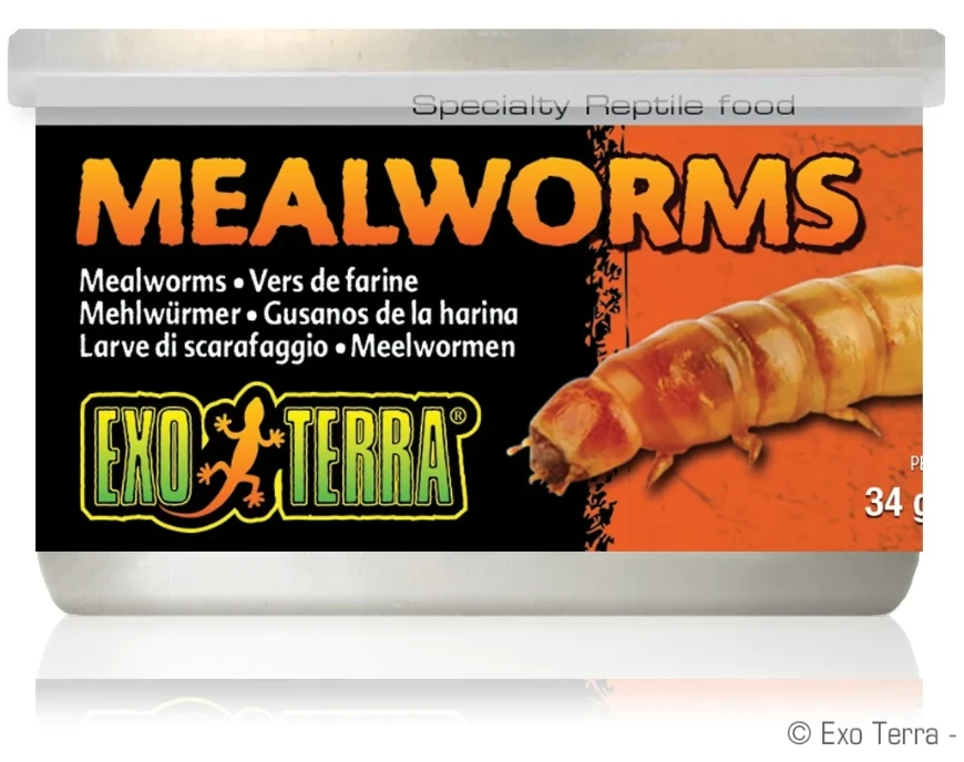 Picture of Exo Terra Mealworms For Reptiles 34G