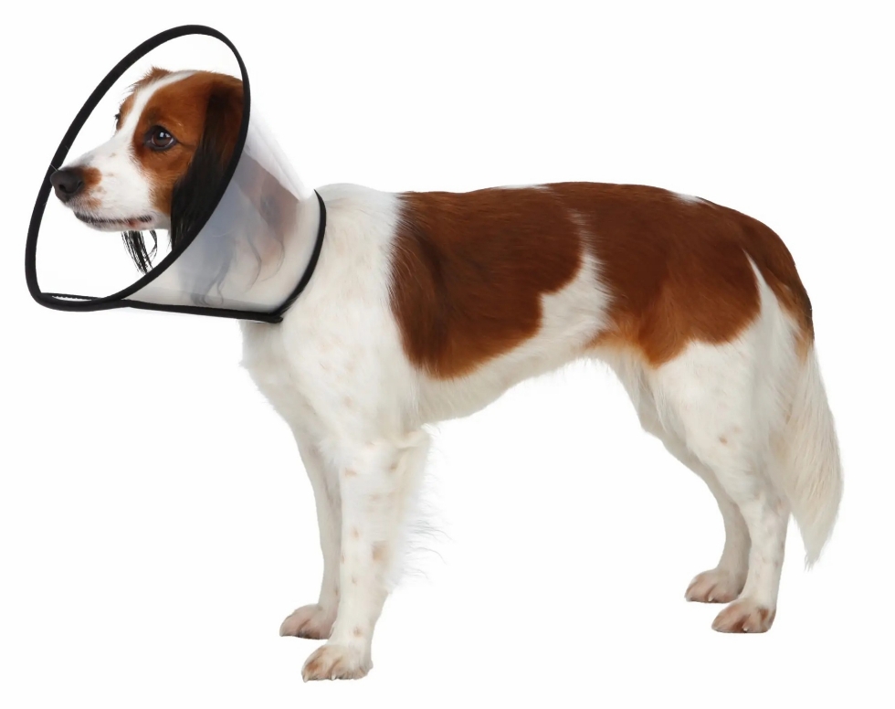 Picture of Trixie pet Recovery Collar M